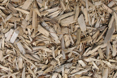 biomass boilers Swinnie